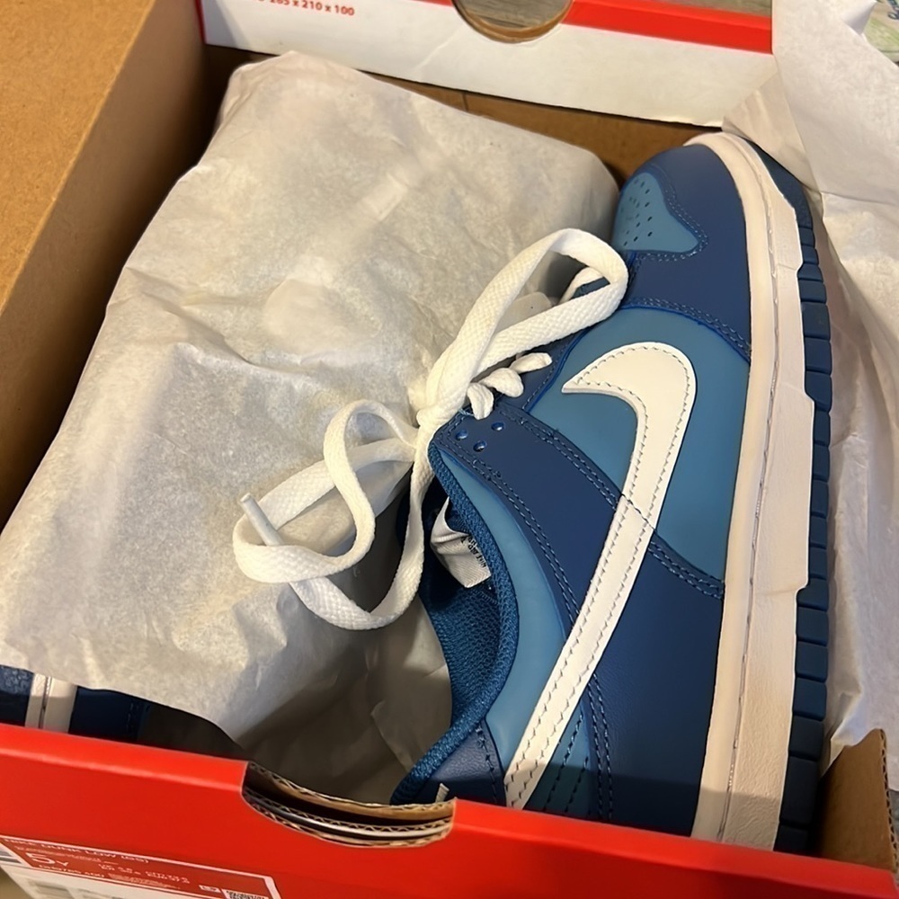 NIKE DUNK LOW GS